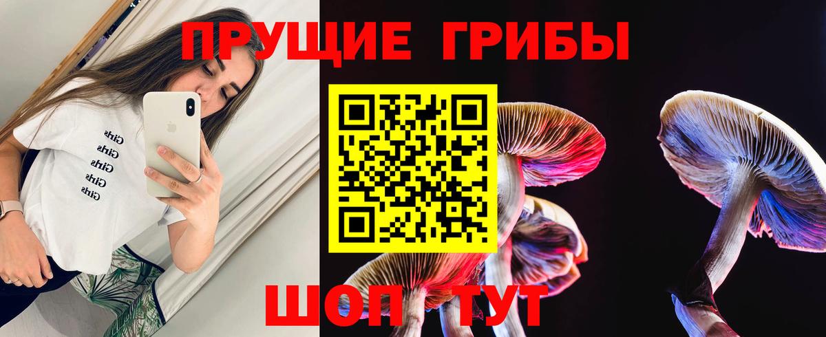 Псилоцибиновые грибы MAGIC MUSHROOMS  Вход с VPN  Псилоцибиновые грибы мухоморы  Чехов 